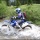 Learn How to Capture Action Shots