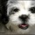 Improve Your Digital Photography Using Depth of Field (DOF)
