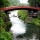 Artistic Considerations for Better Photos