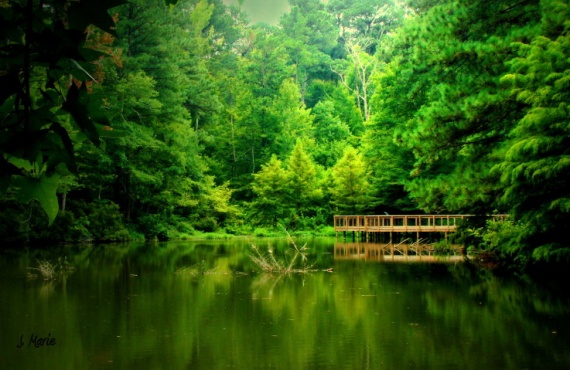 better-landscapes "country pond" taken by J. Marie