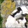 Equipment Needed for Bird Photography
