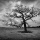 Photography Life Lesson – Black and White Zones
