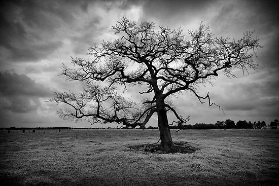 "Curse of the Mind's Eye" captured by Jim Worrall
