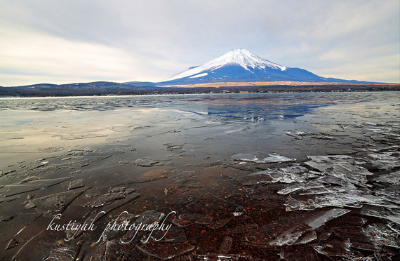 icy-foreground