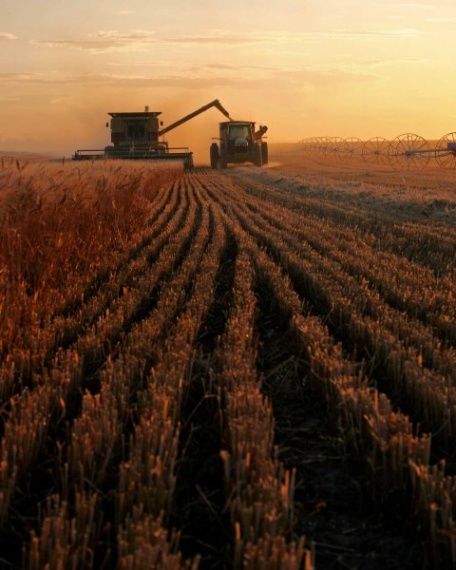 improve-landscapes3 "Harvest Sunset" captured by Michael Edminster