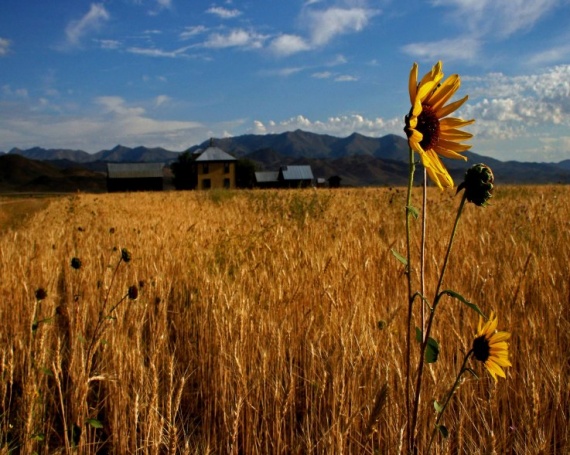 "Hill City Farm" captured by Michael Edminster