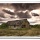 Twelve Ways to Improve Your Digital Landscapes