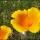 Photography: The Basics