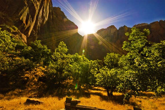 "Zion National Park" captured by Mike M