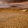 Nature Photography – Tips For Great Cloudy Day Photos