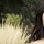 Portrait Lighting Tips – How to Shoot Pro Portraits