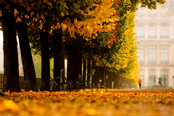 creative depth of field photography