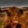 Wildlife Photography – Eliminating Bad Backgrounds