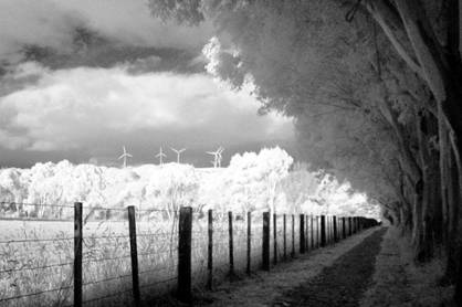 infrared photo taken with the modified kodak cx6230