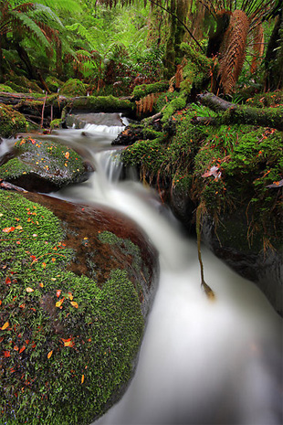 misty-water misty water effect in photography