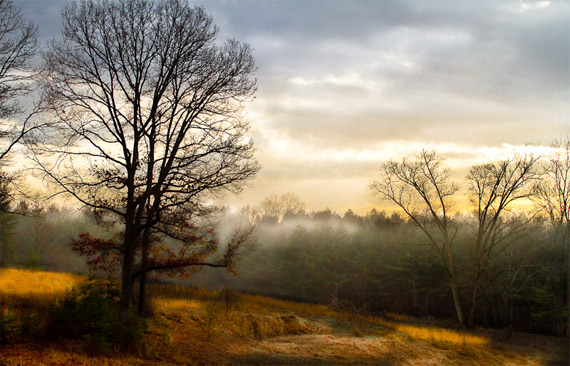 dusk landscape photo