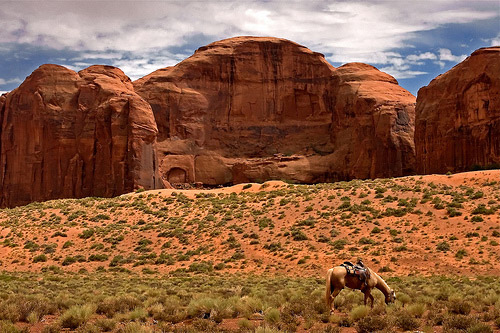 taking desert photos