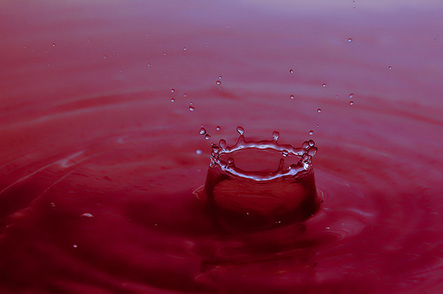 water droplet photography