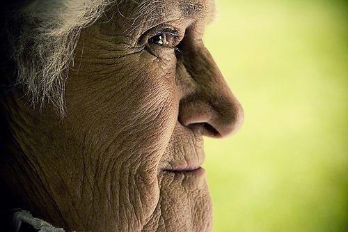prime portrait lens