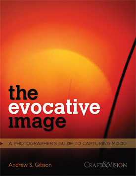 evocative image ebook review