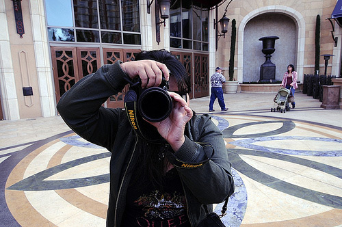 photo-of-the-day photo of the day