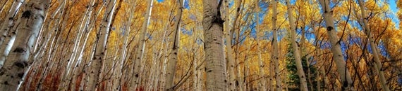 Camera Metering for Landscape Photography