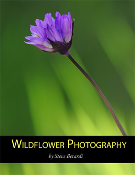 wildflower photography ebook