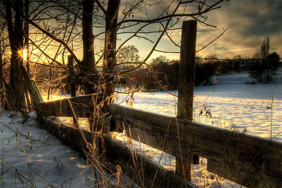 18-200mm lens photo