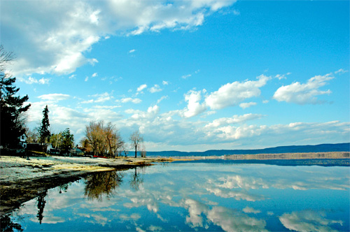 polarizer polarizer filter