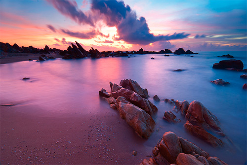 nature photo