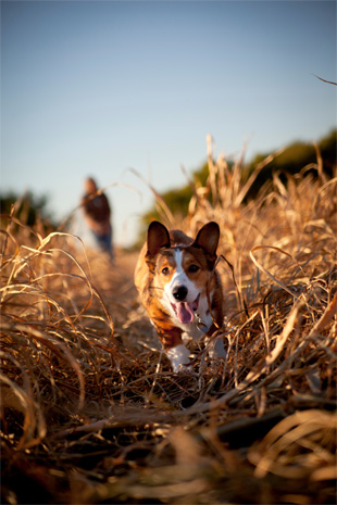 depth of field photo