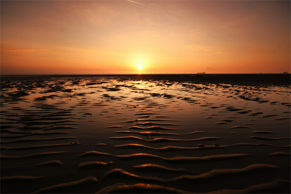 holistic viewpoint of a photographer