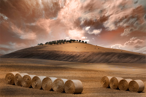 wall art photography