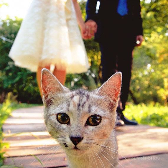 taking photos at a wedding