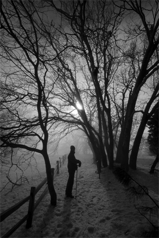 mist and haze photography