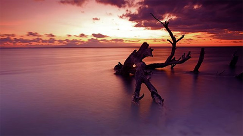 sunset photography
