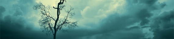 Fine Art Photography