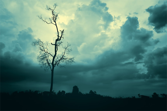 artistic photography