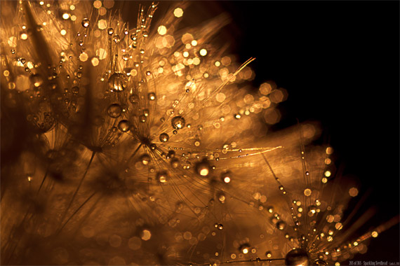 fine photography tips