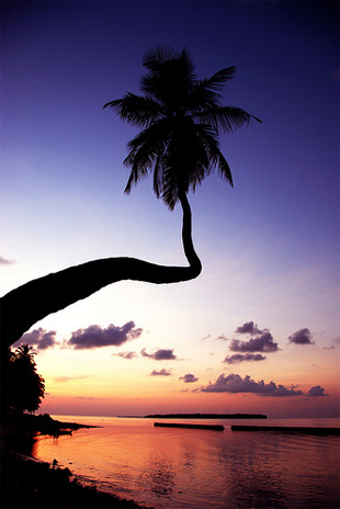 photography composition