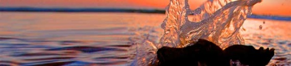 Photography Tips for Water Reflections, Abstracts, Splashes, Puddles and More