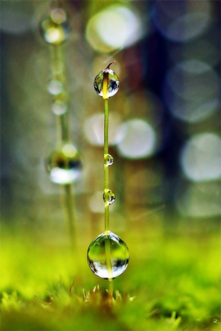 bokeh in photography