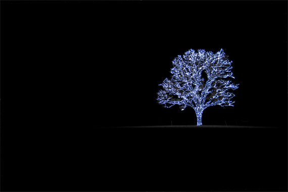 christmas-light-photography-tips-picturecorrect