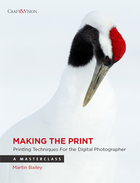 making the print ebook