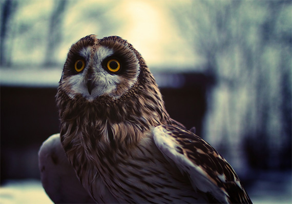 basic photography tips