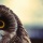 Photography Tips to Take Good Pictures