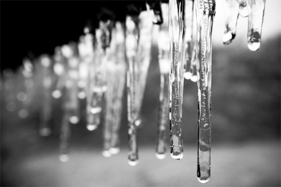 icicles photography