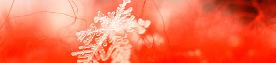 Photography Tips for Icy Streams, Rain, Icicles and Snowflakes