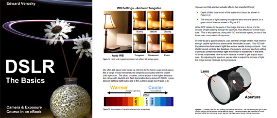 dslr the basics ebook