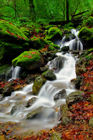 water photography